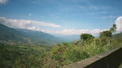 mediumb014.JPG 21.5K