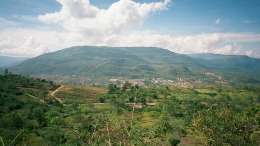 mediumb015.JPG 24.4K