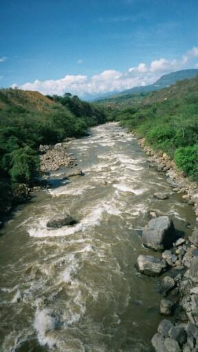 mediumb016.JPG 26.8K