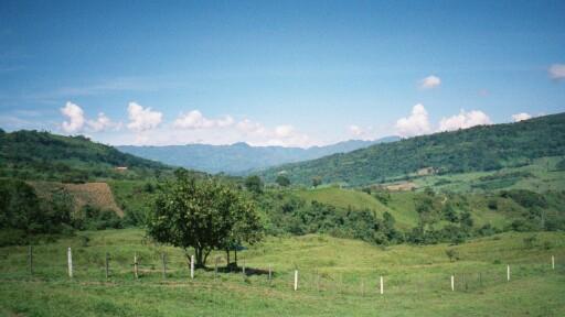 mediumb018.JPG 20.9K