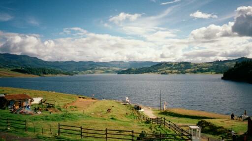 mediumb020.JPG 23.9K